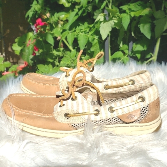 Sperry Top-Sider Bluefish Stripe Women's Boat shoes - Picture 1 of 13